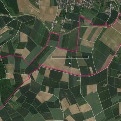 Kilian Rundweg 21 - Länge 10,4 km