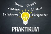 Praktikum Praktikum